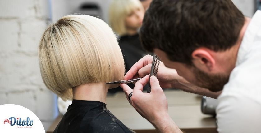 academia de belleza, escuela de belleza ditalo